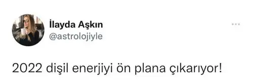 yıllık 13.webp