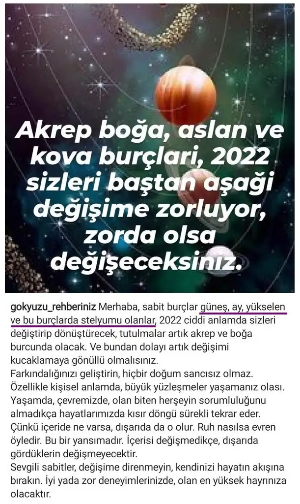 yıllık 14.webp