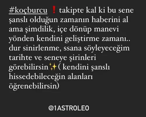 yıllık 18 (2).webp