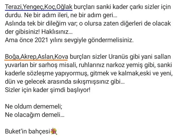 yıllık (2).webp