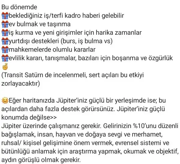yıllık (2).webp