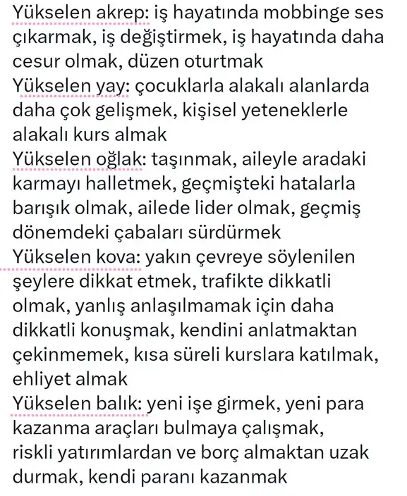 yıllık (2).webp
