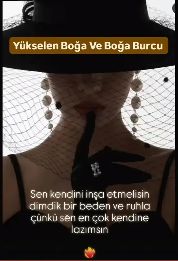 yıllık (2).webp