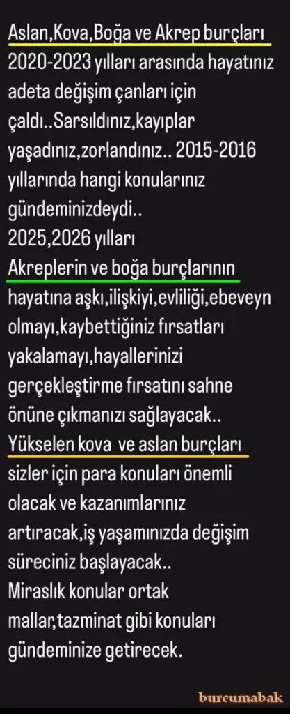 yıllık 2025.webp