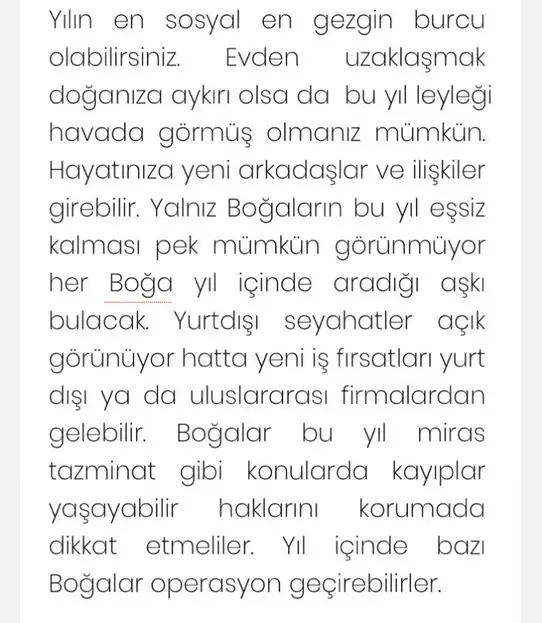 yıllık 22 nil (2).webp