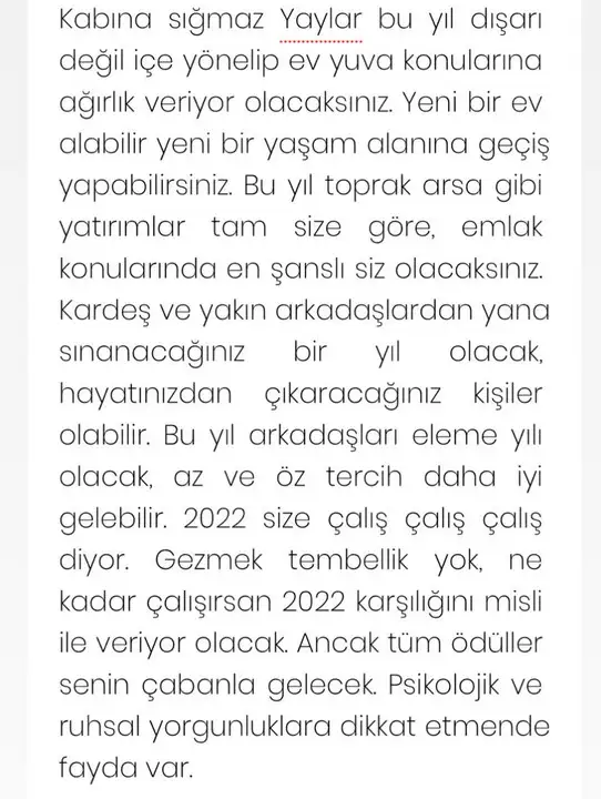 yıllık 22 nil (9).webp