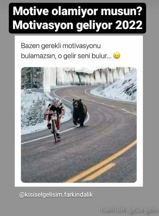 yıllık 24.webp
