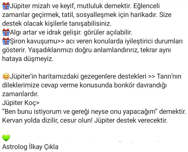 yıllık (3).webp
