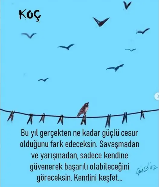 yıllık 33 (1).webp