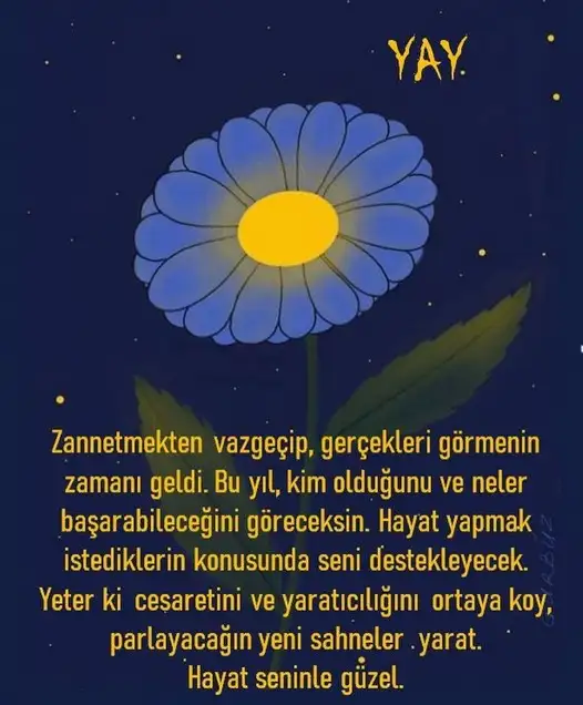 yıllık 33 (11).webp