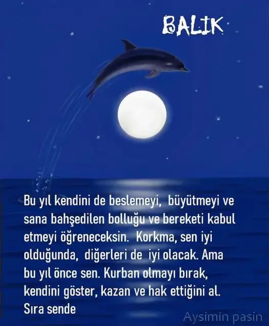 yıllık 33 (14).webp