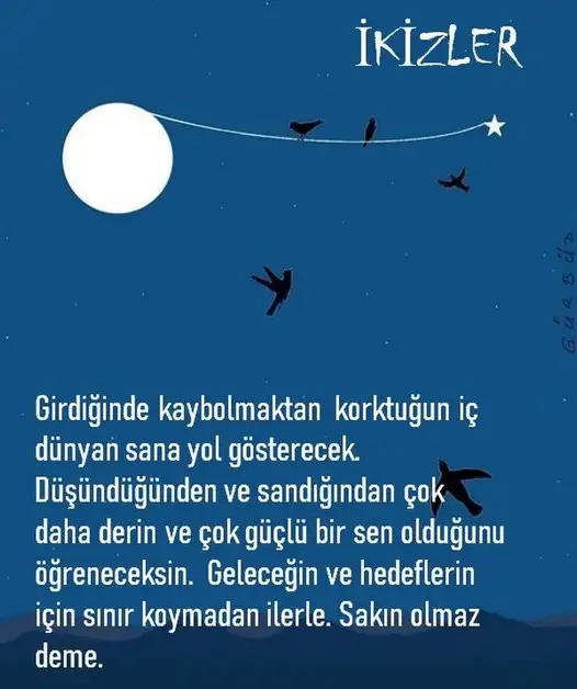 yıllık 33 (4).webp