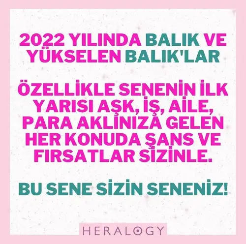 yıllık 38 (17).webp
