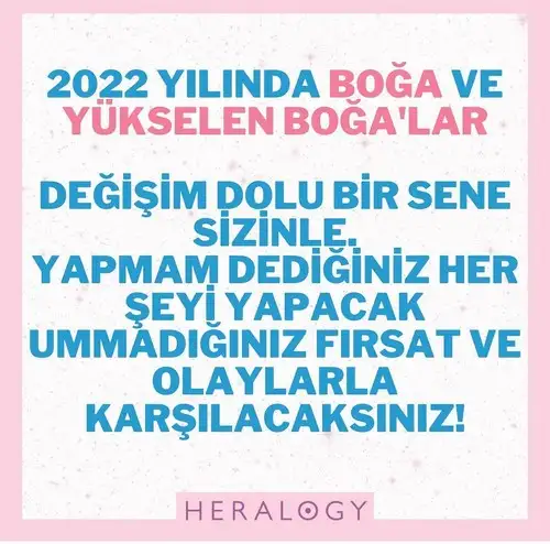 yıllık 38 (21).webp