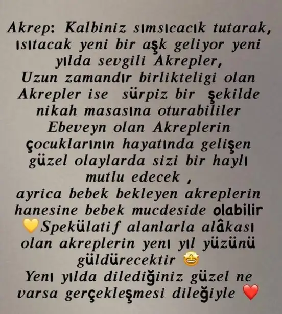 yıllık 38 (9).webp