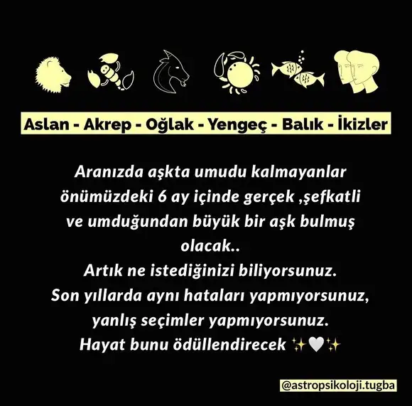 yıllık 39.webp