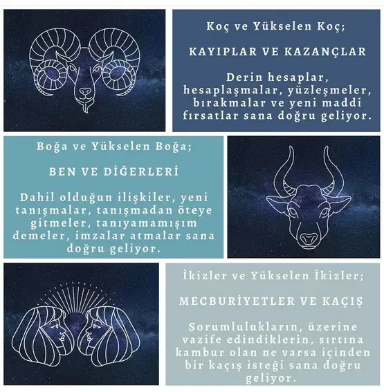 yıllık 40 (2).webp