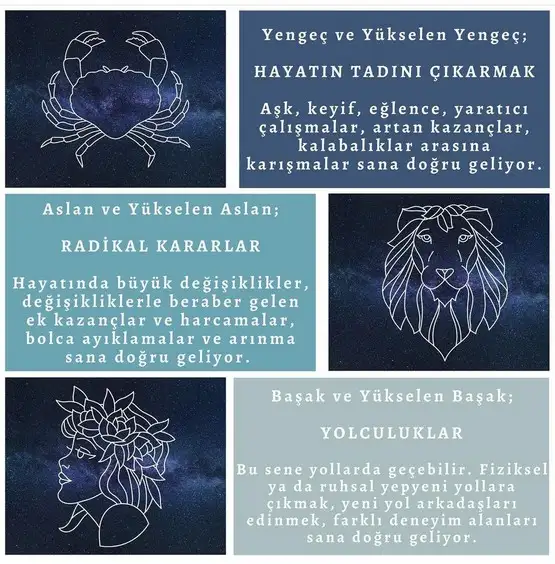 yıllık 40 (3).webp
