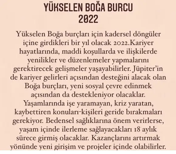 yıllık 6 (3).webp
