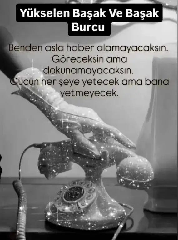 yıllık (6).webp