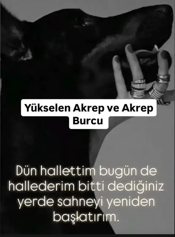 yıllık (8).webp