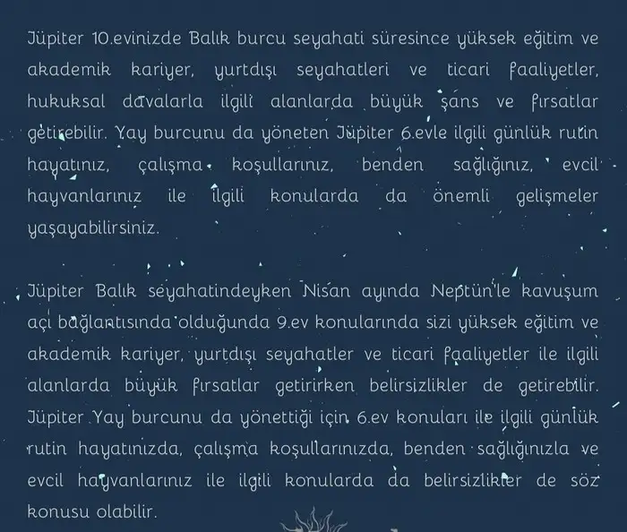 yıllık 85 (12).webp