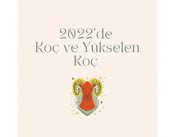 yıllık 86 (1).webp