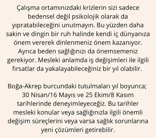 yıllık 86 (16).webp