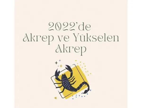 yıllık 86 (50).webp