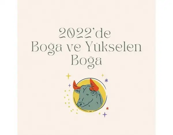 yıllık 86 (7).webp