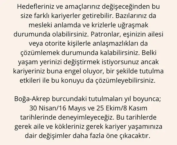 yıllık 86 (74).webp