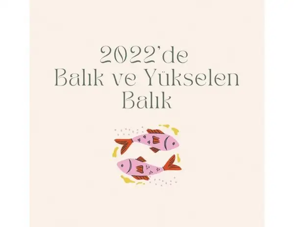 yıllık 86 (79).webp