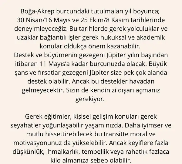 yıllık 86 (81).webp