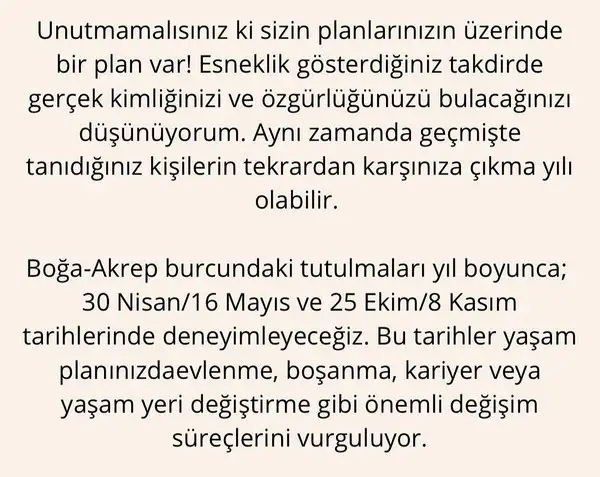 yıllık 86 (9).webp