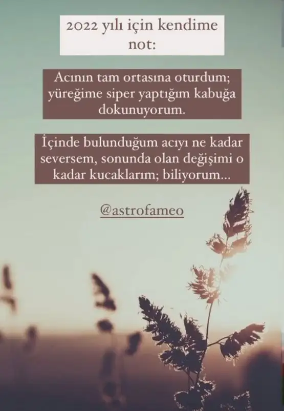yıllık 87.webp