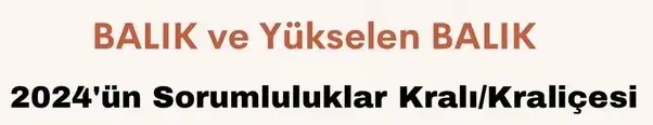 yıllık damla 12 (0).webp