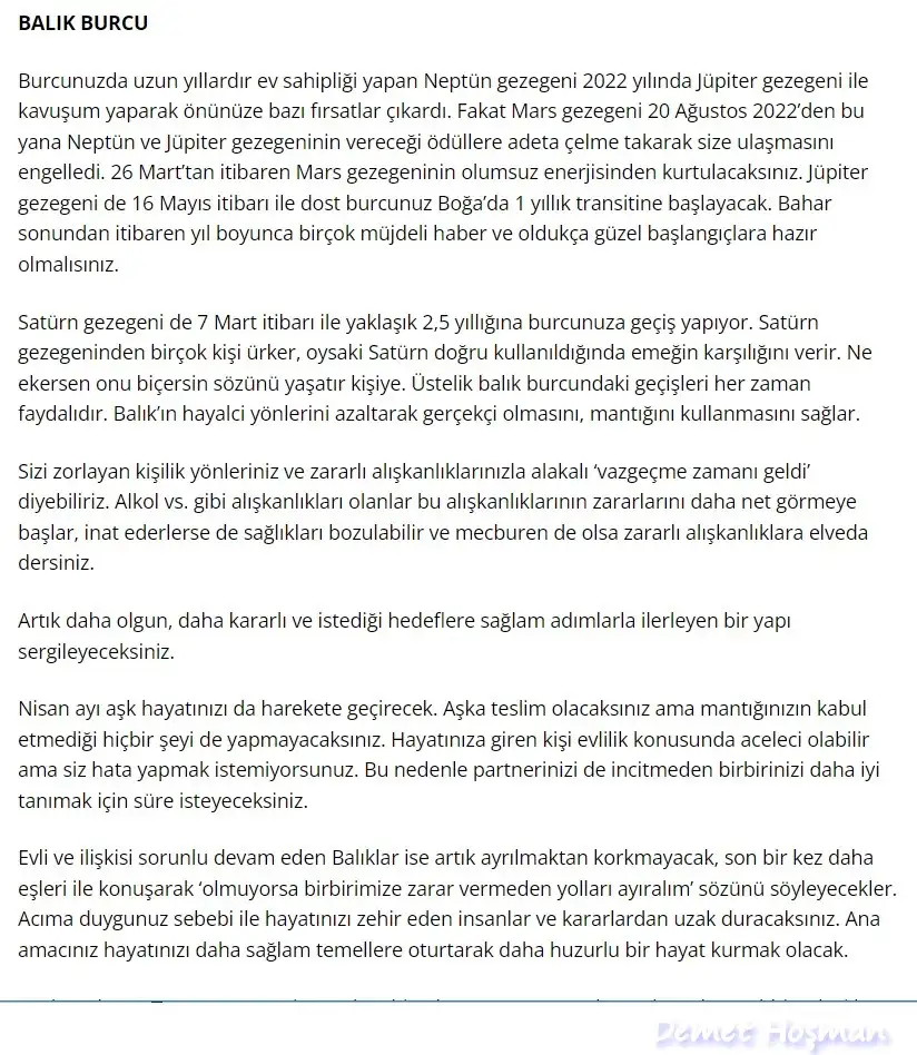yıllık demet hoşman (12).webp