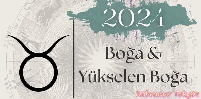 yıllık kübra 2 (1).webp
