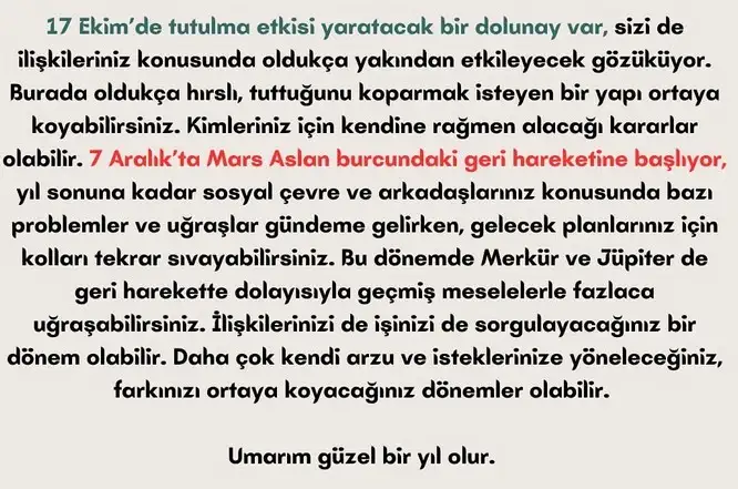 yıllık kübra 7 (9).webp