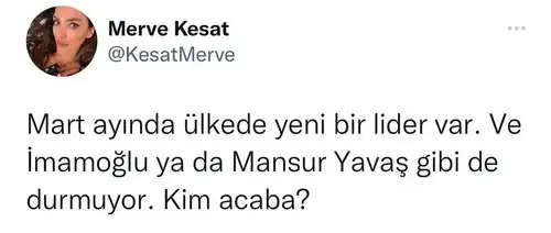 yıllık mart.webp