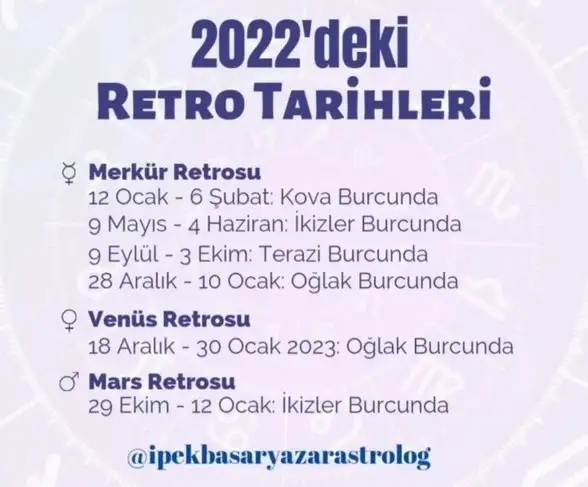 yıllık retro (1).webp