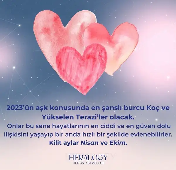 yıllık.webp