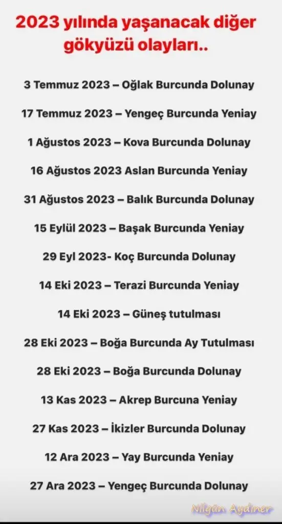 yıllık.webp