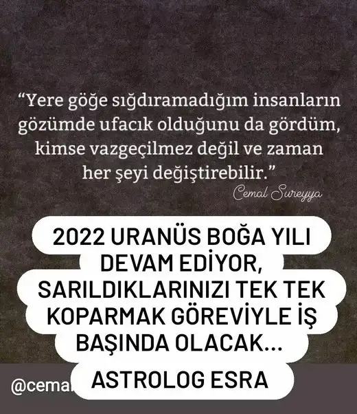 yıllık yorum 17.webp