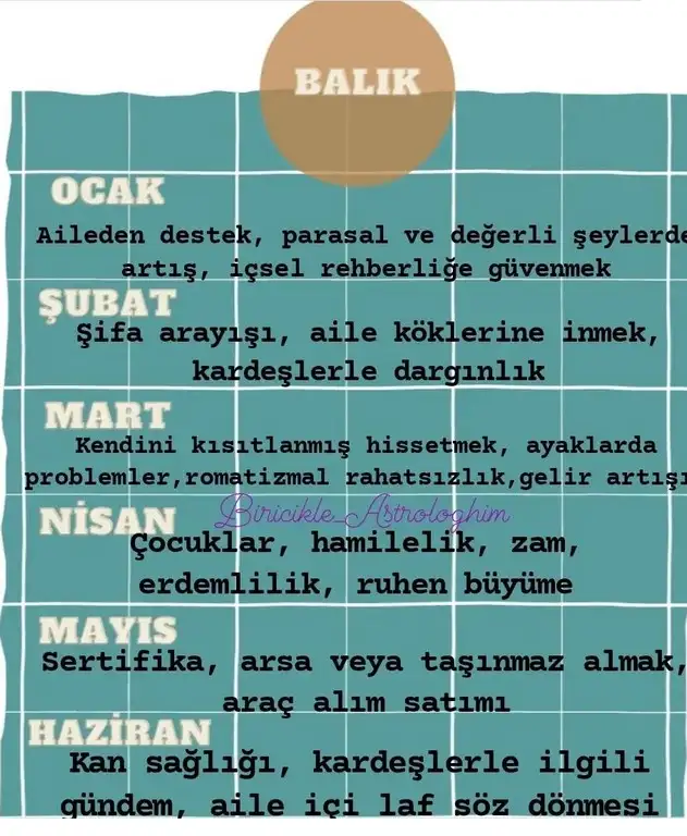 yıllık1 (12).webp