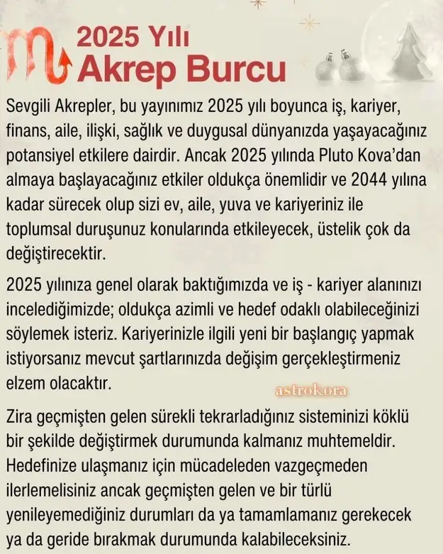 yıllık1 (28).webp