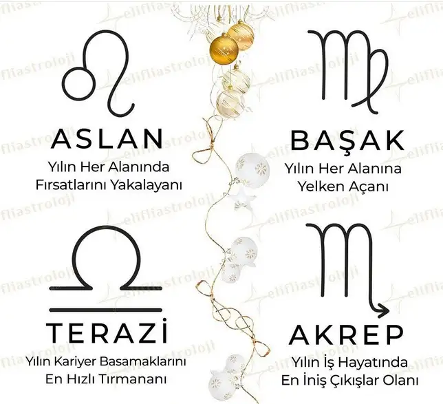 yıllık1 (3).webp