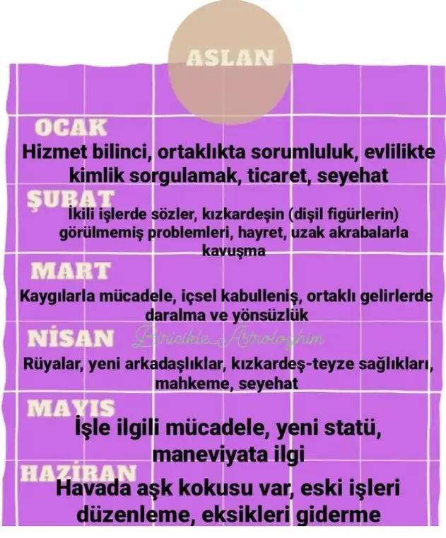 yıllık1 (5).webp