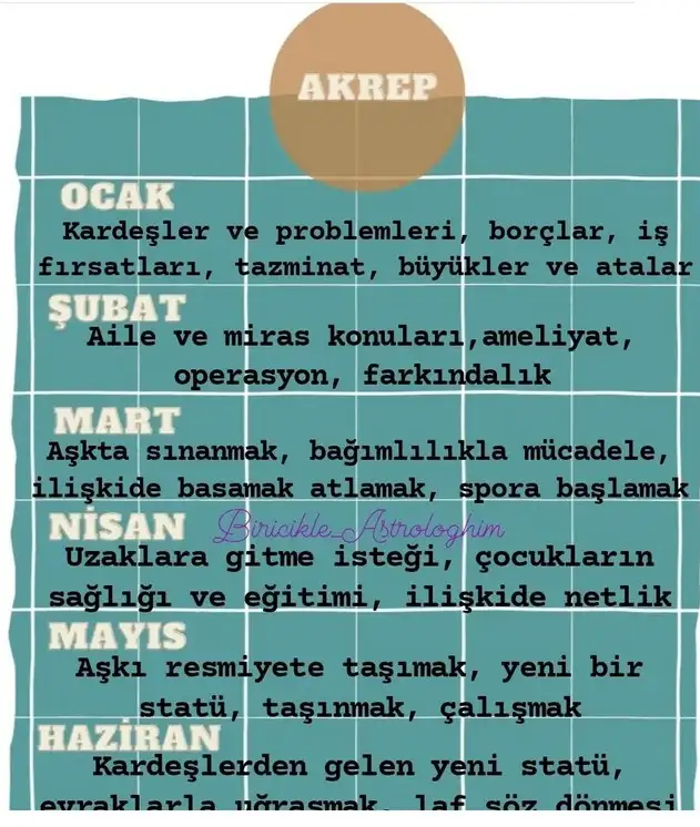 yıllık1 (8).webp