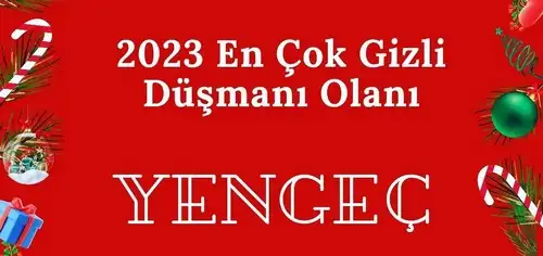 yıllık10 (4).webp